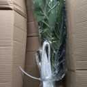 Artificial Fiddle Leaf Fig Tree/Faux Ficus Lyrata for Home Office Decoration, 30.5" Tall, with Cotton Rope Basket (White and Brown Basket)