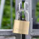 THIRARD Type-1 Brass Padlock  Heavy-Duty, Weatherproof Security Lock with Reinforced Pin Mechanism  Keyed Alike for Sheds, Lockers, Gates & More  Durable, Corrosion-Resistant, Single Pack (50mm, 1.97")