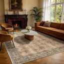 LIANLAM 5x7 Washable Area Rug, Vintage Boho Traditional Pattern, Non-Slip Stain Resistant Rug for Living Room Bedroom (5x7,Brown/Boho)