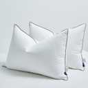 Goose Down Pillows Queen Size Set of 2, 3-Chamber Cervical Neck Support Down Feather Pillow 100% Soft Cotton Cover Luxury Hotel Bed Goose Feather Pillows (Queen (Pack of 2))