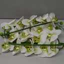Htmeing 38 Inch Artificial Phalaenopsis Flowers Branches Real Touch (Not Silk) Orchids Flowers for Home Office Wedding Decoration,Pack of 2 (Green White)