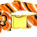 Elegant Little Tail Halloween Dog Collar - Orange Stripe Pet Collar With Flower for Small Dogs - Soft Durable Holiday Accessory (Small (Pack of 1))