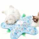 Interactive Cat Toys for Indoor Cats Hide and Seek Cat Toy Automatic Cats Toy Moving Concealed Feathers