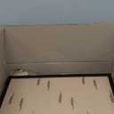 HUKONHEP 3.5x5 Black Picture Frames, Photos Frame with Plexiglass, Wall Gallery Photo Frames, Horizontal and Vertical for Wall Mounting and Tabletop, Home Office Decoration