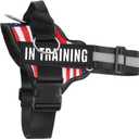 Essential Dog Harness with 3 Leash Clips - No-Pull, Adjustable, Comfortable Pet Vest Harness for Small to Large Dogs - Easy On, No Choke, Reflective, Padded Harness for Walking and Training (Med(Neck:18-26",Chest:21-25"), Flag)