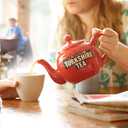 Yorkshire Tea, Red, Black Tea, String and Tagged Bags, 100 Count (Pack of 1), Refreshing, Satisfying, and Strong, Classic British Breakfast Blend, Caffeinated, Enjoy Hot or Iced, 100 Teabags (EXP 04/30/24)