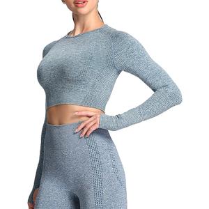 Aoxjox Long Sleeve Crop Tops for Women Workout Seamless Cropped T Shirt Top, XL