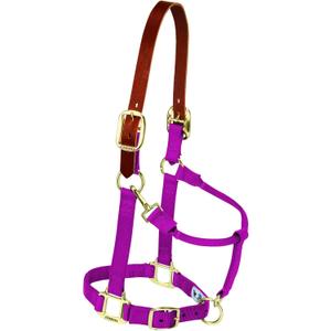 Weaver Equine Breakaway Horse Halter, Supple Leather Crown, Adjustable Chin & Throat Snap Halters for Horses, Equine Tack (Raspberry)
