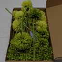 Kimura's Cabin 20Pcs Green Artificial Chrysanthemums Fake Silk Ball Flowers Mums Bouquets Arrangements Wedding Party Decor St Patricks Day Home Kitchen Garden Table DIY Floral Centerpieces (Green)