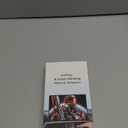 Car Screen Mirroring Adapter with Wireless CarPlay - Supports Watching Any App (YouTube, Net-Flix, TikTok, etc.), Compatible with Factory-CarPlay Equipped Vehicles (Black)