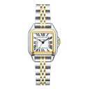 Szaikyri Classic Square Watches for Women with Roman Numerals Ladies Casual Dress Watch (Silver&Gold-Black)