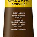 Winsor & Newton Galeria Acrylic Color, 200ml (6.75-oz) Tube, Burnt Umber