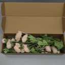 Htmeing 5Pcs Artificial Ranunculus Flower Silk Flowers Persian Buttercup for Home Wedding Decoration Floral Creation Flower Arrangement DIY Project (Champagne)