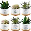 Sieral 6 Pcs Bible Verse Succulent Pots White Ceramic Flower Planter with Bamboo Tray Small Pots Christian Gift Succulent Planters for Patio Garden 3 x 3 x 2 Inch, Plants Not Included(Bible Style)
