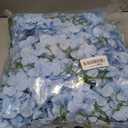 Daohe Delphinium Artificial Flowers 8PCS Larkspur Bulk Silk Flowers 33.5 in Long Stem Fake Flowers for Home Garden Wedding Floral Arrangements Decor (8, Light Blue)