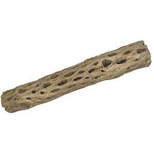 Awesome Aquatic 12 inch 2-3” Thick XL Teddy Bear/Chain Fruit/Buckhorn/Staghorn Cholla Wood Hollow Tube Wood Cactus Skeleton Tubes 12” x 2-3” Thick/Diameter (12 in x 2-3 in Diameter)