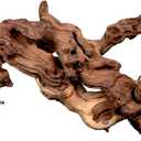 Natural Driftwood for Aquarium 12"-16" Large Aquarium Coral Wood Decor | Single Piece for Fish Tank Landscaping, Reptile Terrarium Climbing Branch, Freshwater Aquatic Wood Aquascaping