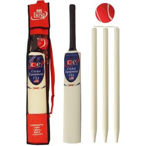 Junior Cricket Bat Set Wooden Gift Size 4, 6 Includes Stumps Ball Bat Carrying Bag