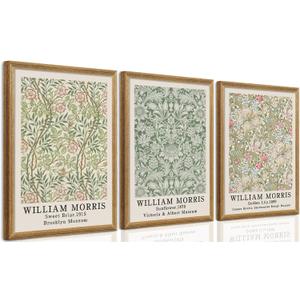 SYWENNOI 3 Pieces William Morris Textured Canvas Wall Art, Pink Beige and Sage Green Neutral Botanical Designs Wall Decor, Vintage Floral Art Prints for Living Room Bedroom Offices 16x24 Wood Frames
