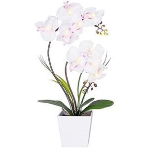 HOMESEASONS Orchid Lamp-LED Lighted Orchid Arrangements,Pre Lit Artificial Orchid,Light Up Flower Lights, Faux Orchid Phalaenopsis Arrangement (White)