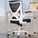Ergonomic Office Chair - Computer Desk Chairs Comfy, Mesh High-Back Gaming Chair with Adjustable Lumbar Support, Executive Task Chair for Adults, Comfortable for Long Hours (White Black)