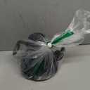 Cocinare Barista Collection Gooseneck Electric Kettle, 1 Precise Temperature Control for Pour-Over Coffee & Tea, Quick Heating 1500W, Stainless Steel Interior, 0.9L (Delacroix Green)