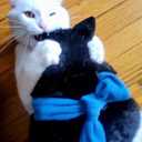 Cat Wrestling Glove Puppet Interactive Hand Mitt with Durable Protective Sleeve and Catnip - Play & Enrichment