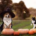 2 x Fall Dog Bandana, 1PC Halloween Bandanas Bib Scarf Pet Kerchief Washable Cotton Square Dog Scarfs for Small Medium Large Dogs (Pumpkin)