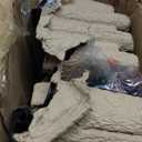 Mary Floor Lamp by Light Accents  Standing Lamp for Living Rooms  Torchiere Pole Light  LED-Compatible Floor Lamp  Modern Bedroom Lighting (Black)