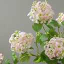 Hydrangea Artificial Flowers,19 Inch Double-Headed Faux Hydrangeas,Artificial Snowball Viburnum Flowers for Home Office Decor Wedding Party Arrangements（2pcs (Light Pink)