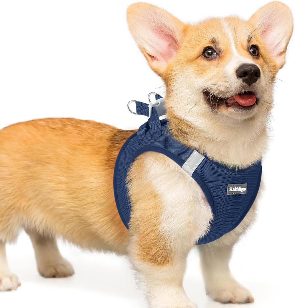 rabbitgoo Small Dog Harness, Step-in Soft Mesh Puppy Vest with Safety Buckle, Breathable Reflective Pet Harness for Small Medium Dogs, Navy Blue L, L(Chest:18.2"-20.5")