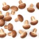 20Pcs Fake Artificial Vegetable Small Lifelike Artificial Faux Gray Mushroom Party Decor Ornament, Simulation Display Foam Realistic Model for Home Kitchen Themed Tabletop Decor Photography Props