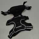 rabbitgoo Dog Harness No Pull with 2 Leash Clips, Adjustable Soft Padded, Reflective Oxford No Choke Pet Vest with Easy Control Handle for Medium Sized Dogs, Black, M