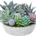 Premium Assorted Artificial Succulent Collection - Large Real Touch Artificial Cactus, Aloe Vera & Succulent Plants Artificial with Pots for Home Office Indoor (Artificial Glass - Pot)