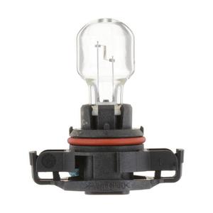 Philips Daytime Running/Backup Bulb - PS19WB1