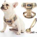 PUPTECK Soft Mesh Dog Harness and Leash Set Pet Puppy Cat Comfort Padded Vest No Pull Harnesses, Beige, L (L (NECK: 17", CHEST: 18.8"-24"))