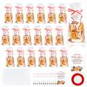 Demonwer 100 Set Christmas Potpourri Cellophane Bags Potpourri Gift Bags Simmer Instruction Tags and Ribbon DIY Crafting Kit for Xmas Winter Holiday Party Gift Decor(100)
