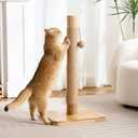 Kicari 29" Tall Cat Scratching Post for Indoor Cats Adults, Extra-Stable & Natural Solid Wood Scratching Post Sisal Scratcher with Hanging Funny Ball, Beige