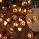JASHIKA 3D Twinkle Acorn Fall Decorations Harvest String Lights 10ft Copper Wire 30 LEDs Battery Powered with Timer Remote Control for Wedding Bedroom Fireplace Mantel Ice Age Ornaments Home Decor
