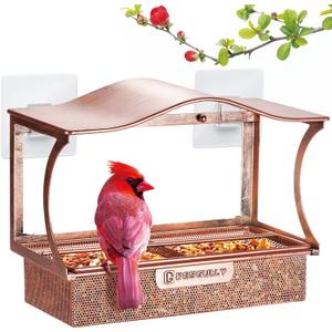 Window Bird Feeder, Metal - with Strong Suction Cups, Large Outdoor for Viewing Bird Watching Gift (Curved)
