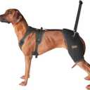 CHAMIN Dog Hip Brace with Back Handheld Design, Support for Hip Dysplasia, Arthritis, Back Leg limping, Reduce Hip Pain & Accelerated Recovery After Surgery etc(Large)