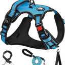 NESTROAD No Pull Dog Harness,Adjustable Oxford Dog Vest Harness with Leash,Reflective No-Choke Pet Harness with Easy Control Soft Handle for Small Medium Dogs(Medium,Blue) (Mneck 13-17" chest 17-25")