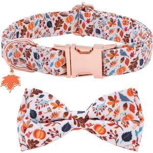 Faygarsle Bow Tie Halloween Fall Dog Collar for Small Medium Large Dogs Fashionable Cute Collars for Male Female Dog Cotton Collar with Metal Buckle Leaves Pumpkin Pattern M (Beige)
