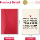 2 x Funny Valentines Day Card  Great Valentines Day Gifts for Him Boyfriend or Husband (SK-033)