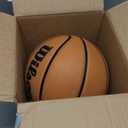 Wilson NBA Authentic Series Outdoor Basketballs (Size 7 - 29.5")