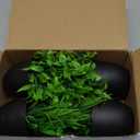 Der Rose Fake Plants 4 Packs Artificial Plants Small Faux Plants Black Bathroom Accessories for Halloween Bathroom Home Kitchen Coffee Table Office Desk Decor Indoor