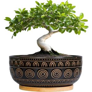 Eightpot Ceramic Bonsai Pots - 8 Inch Plant Pot for Succulent, Round Planter for Indoor Plants, Shallow Planters with Drainage Hole and Tray, Boho Bonsai Bowl, Living Room Decor, Black