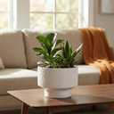 13 Inch Ceramic Pots for Plants, Large Planters for Indoor Plants with Drainage Hole, Modern Indoor Plant Pots for Home Office, Honeycomb Ceramic Planter Pots, White