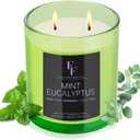Mint Eucalyptus Scented Candle, 2-Wick Luxury Soy Wax Candle, 9 oz Aromatherapy Candle Home Fragrance Candles Gift