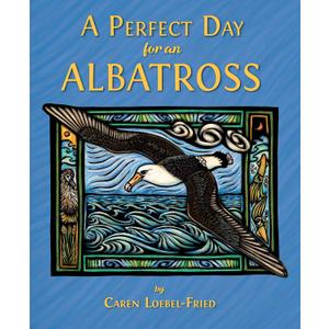 A Perfect Day for An Albatross